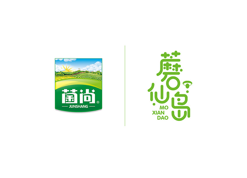 包裝設(shè)計(jì)_包裝設(shè)計(jì)化妝品包裝茶葉包裝粽子包裝零食食品包裝電商特產(chǎn)包裝11