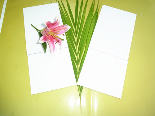 玖龍白板紙價(jià)格